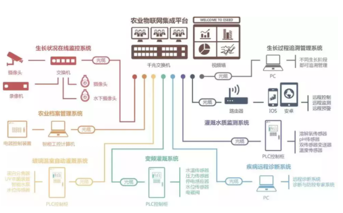 智慧農業解決方案