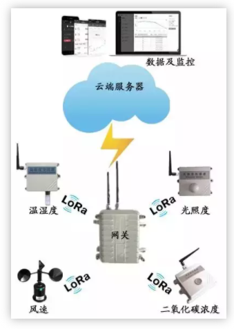 智慧農業解決方案