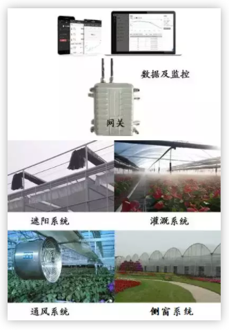 智慧農業解決方案