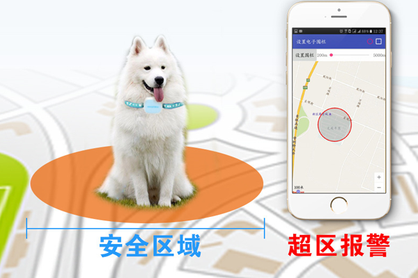 價值28萬純血馬在麗江"走失"，如何防動物走丟？